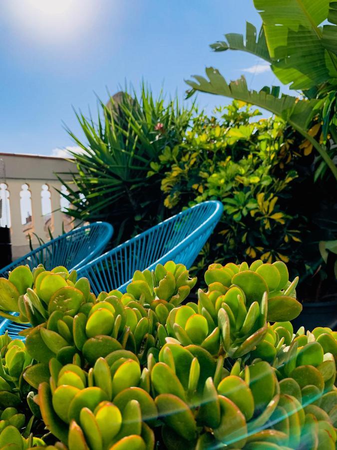 Incredible 2Br Penthouse With Urban Rooftop Garden Barcelona Exteriér fotografie